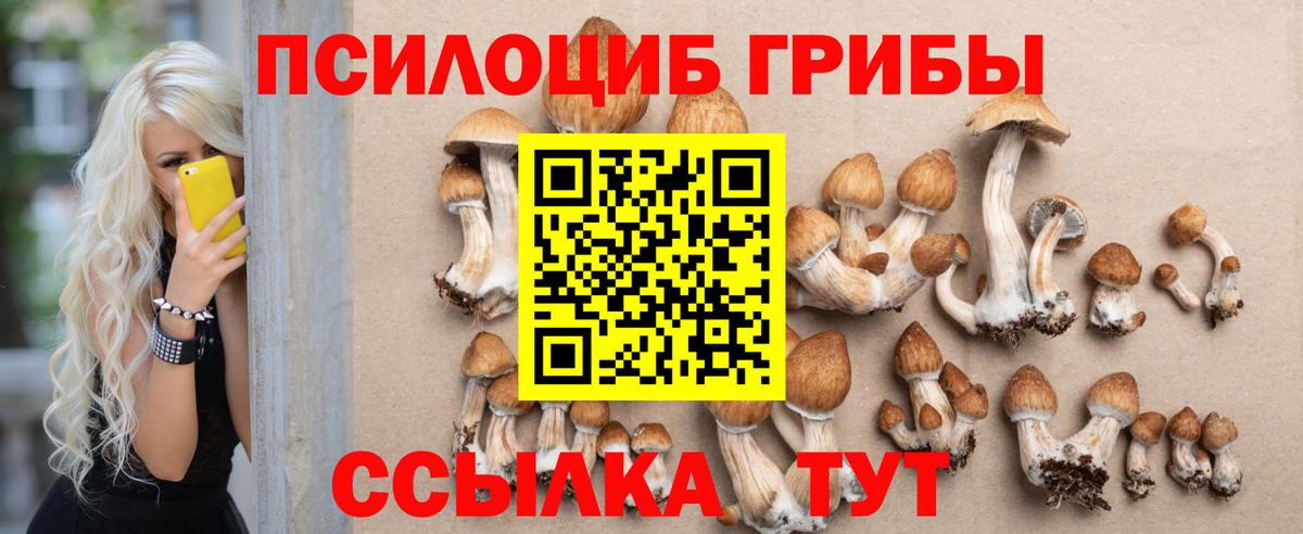 Галлюциногенные грибы мицелий  Вход с VPN  Зеленокумск 